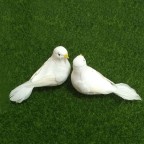 colombe blanche artificielle