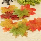 feuilles d'automne en mélange