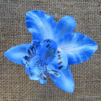 Orchidée clip, fleur pince, à clipser dans cheveux ou en broche