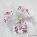 Orchidée double montée sur clip, fleur broche