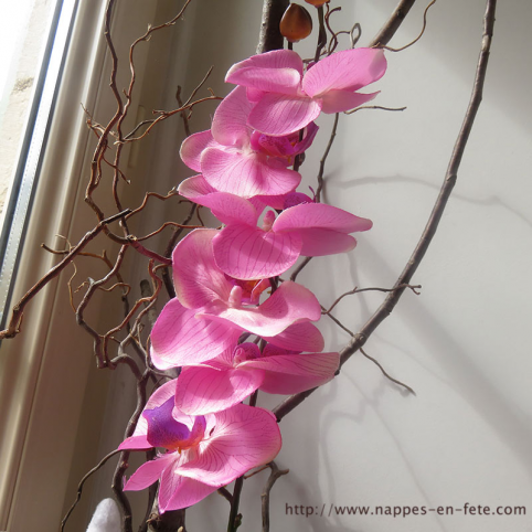 Orchidée grosses fleurs pour décoration de table